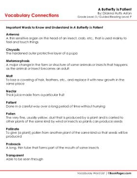 The first page of Vocabulary Connections with A Butterfly is Patient