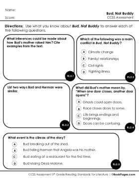 Thumbnail for Comprehension Assessment with Bud