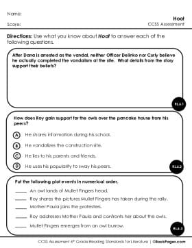 Thumbnail for Comprehension Assessment with Hoot