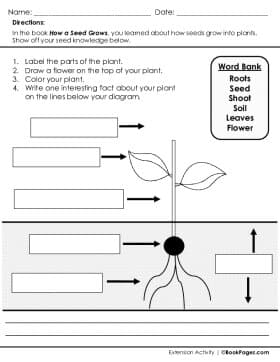 Thumbnail for Features of Nonfiction Text with How a Seed Grows