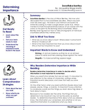 The first page of Determining Importance with Snowflake Bentley