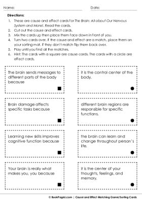 Thumbnail for Cause and Effect Matching with The Brain: All about Our Nervous System and More!