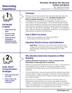 The first page of Determining Importance with The Brain: All about Our Nervous System and More!