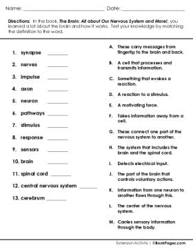 Thumbnail for Vocabulary Assessment with The Brain: All about Our Nervous System and More!