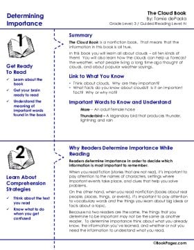 The first page of Determining Importance with The Cloud Book