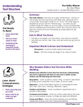 The first page of Understanding Text Structure with The Hallo-Wiener